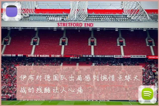 伊布对德国队出局感到惋惜点球大战的残酷让人心痛